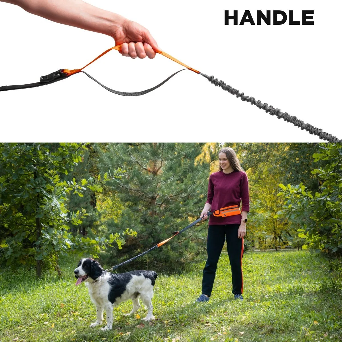 Hands Free Dog Leash with Bag,  5ft