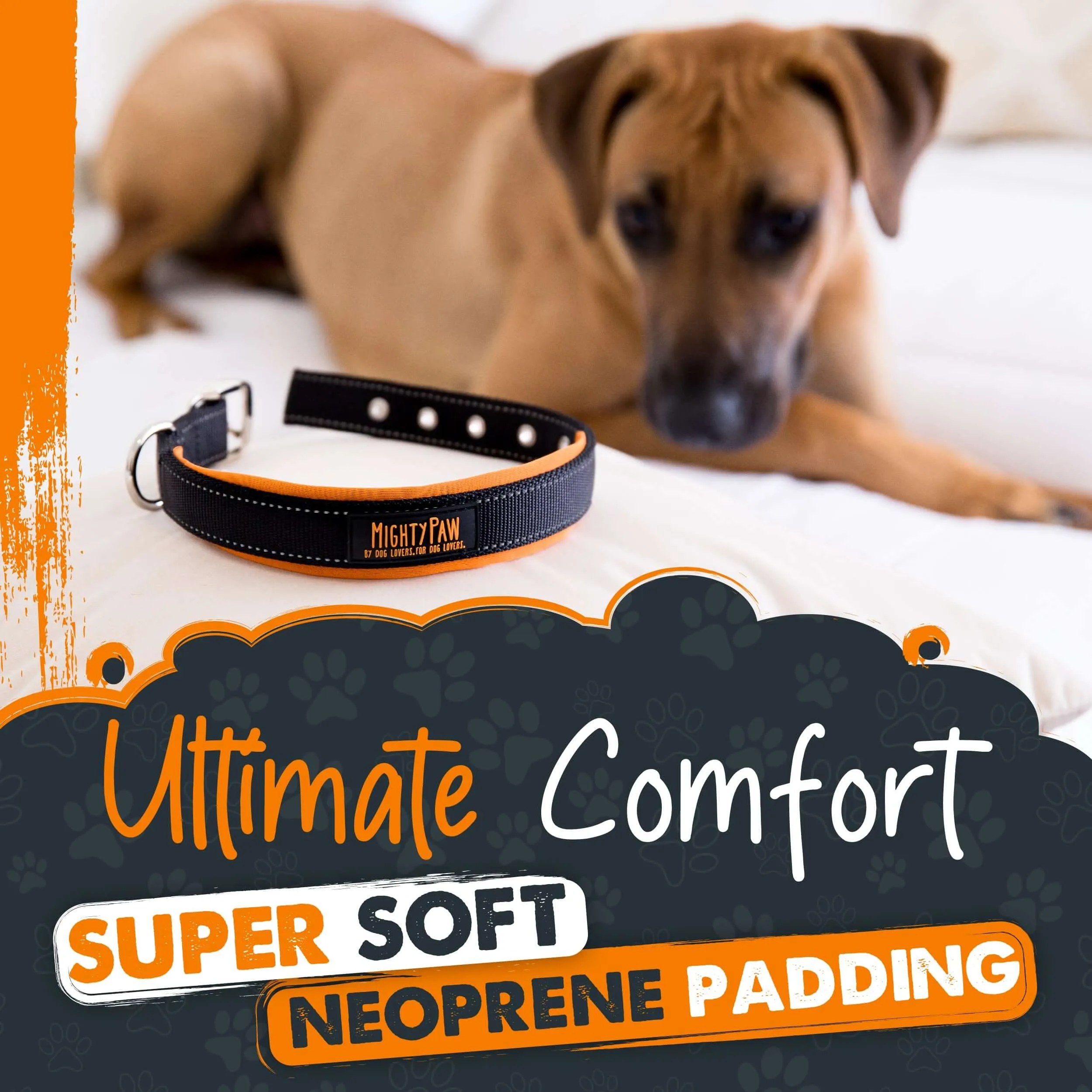 Mighty Paw Sport Collar 2.0 for Active Dogs