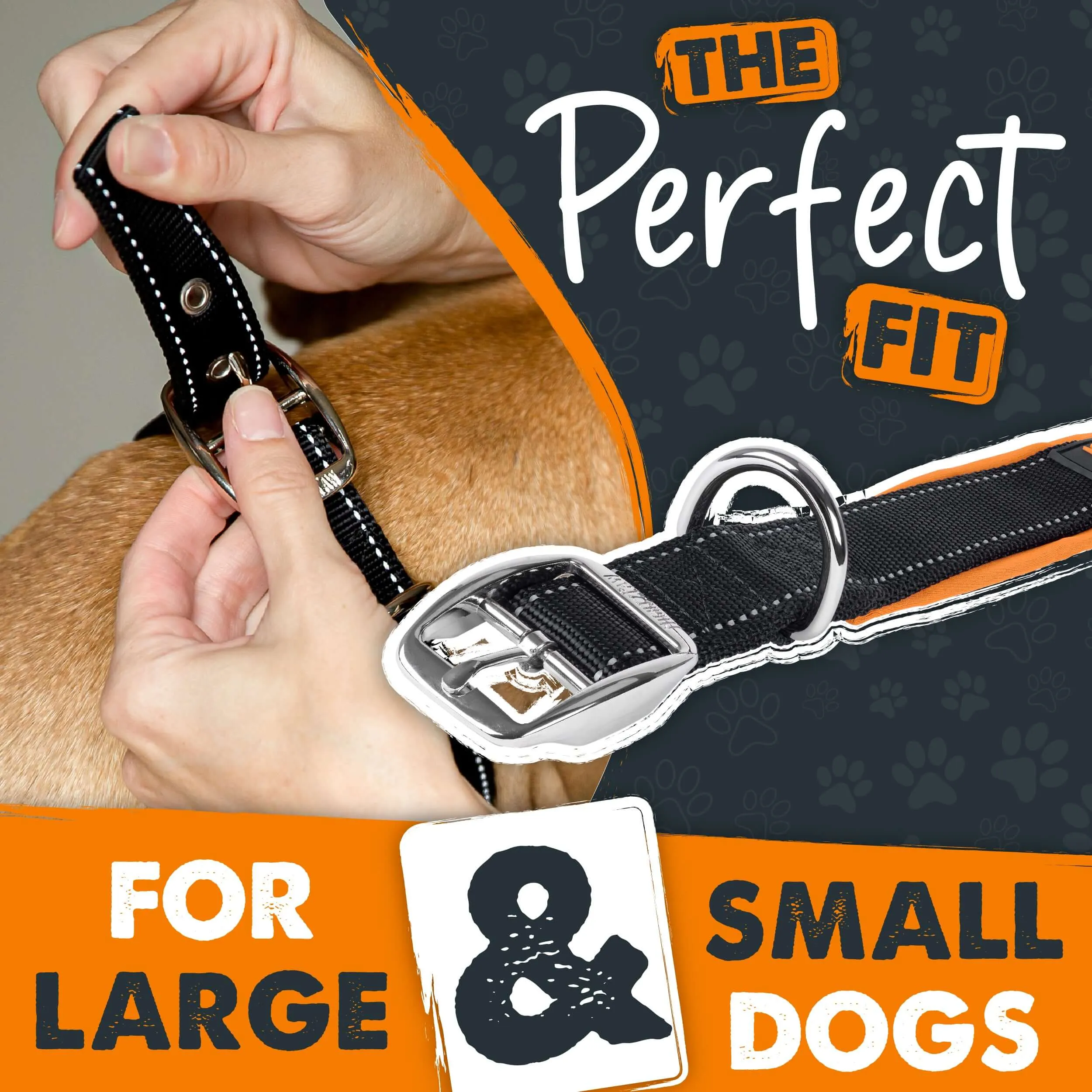 Mighty Paw Sport Collar 2.0 for Active Dogs