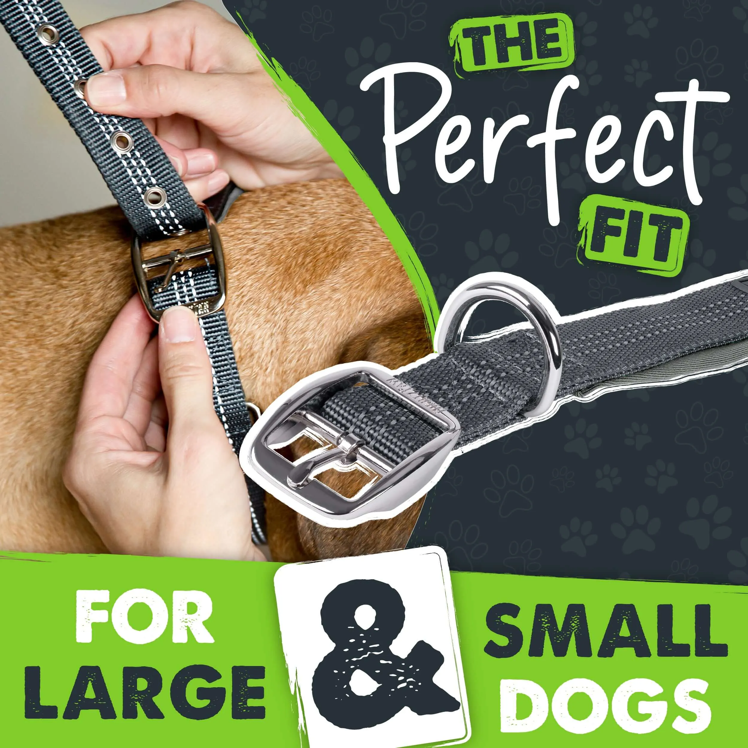 Mighty Paw Sport Collar 2.0 for Active Dogs