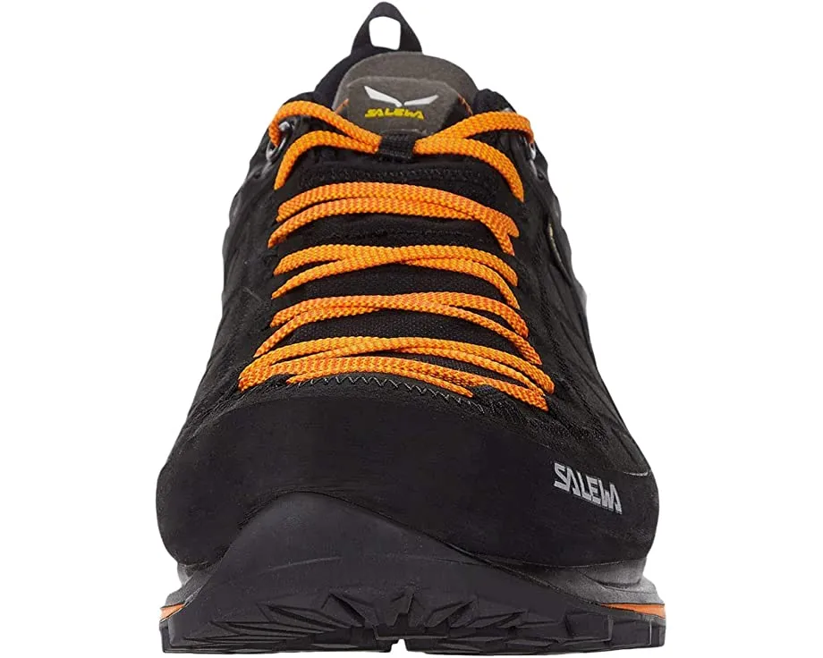 Mountain Trainer 2 GTX SALEWA, black