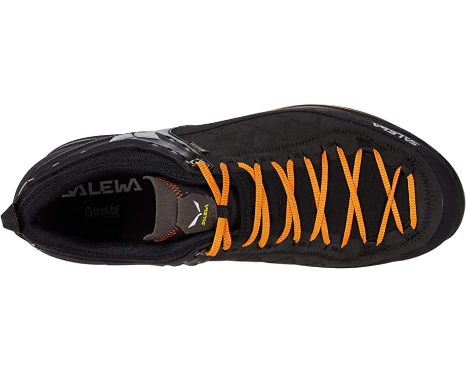 Mountain Trainer 2 GTX SALEWA, black