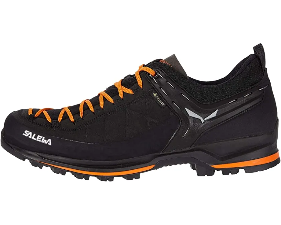 Mountain Trainer 2 GTX SALEWA, black