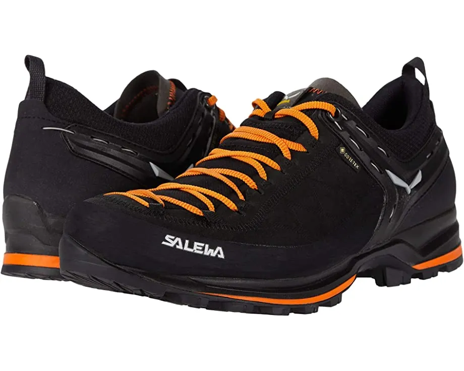 Mountain Trainer 2 GTX SALEWA, black