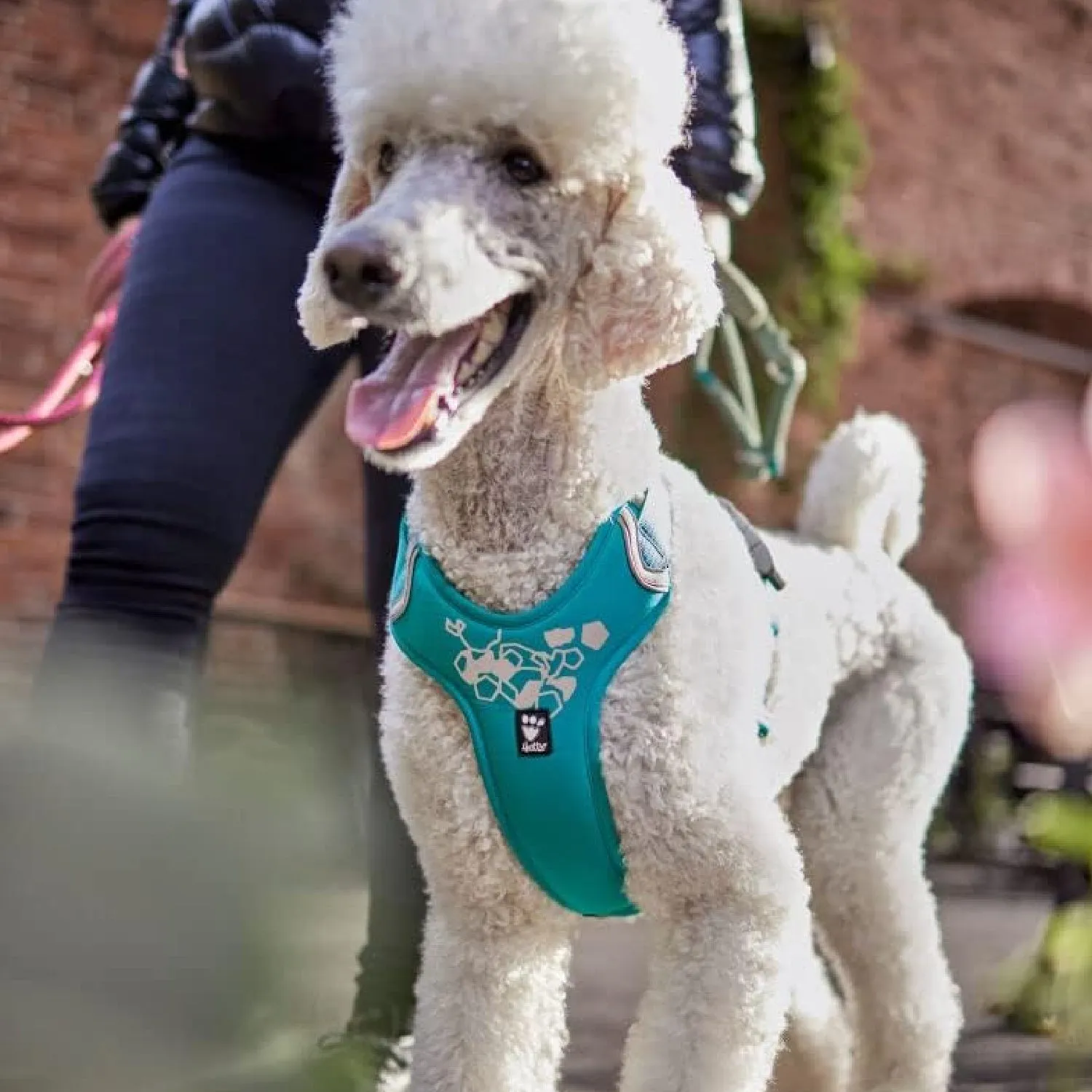 Weekend Warrior Harness